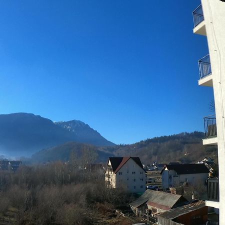 Panoramic Residence Zărneşti 外观 照片