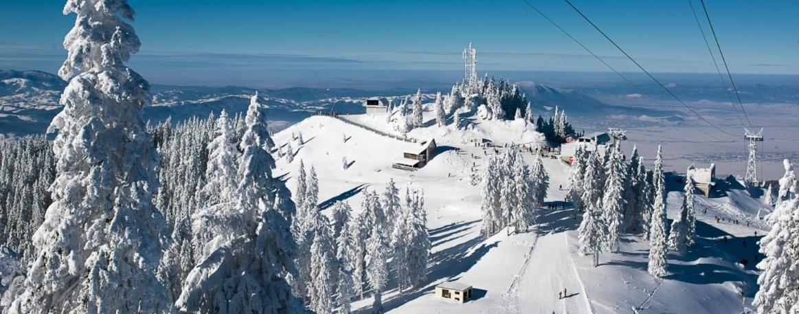 Panoramic Residence Zărneşti 外观 照片