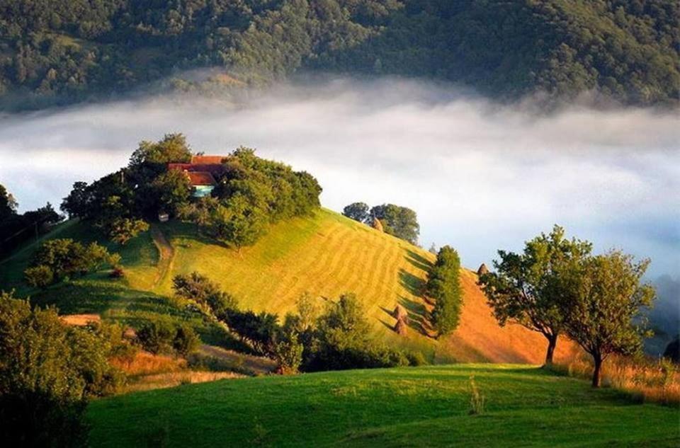 Panoramic Residence Zărneşti 外观 照片