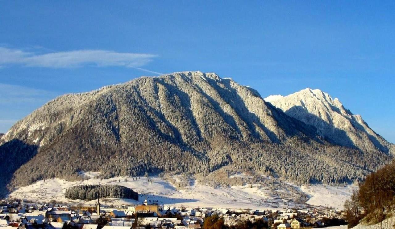 Panoramic Residence Zărneşti 外观 照片