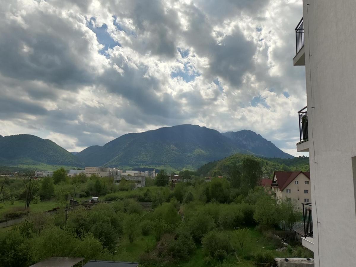 Panoramic Residence Zărneşti 外观 照片