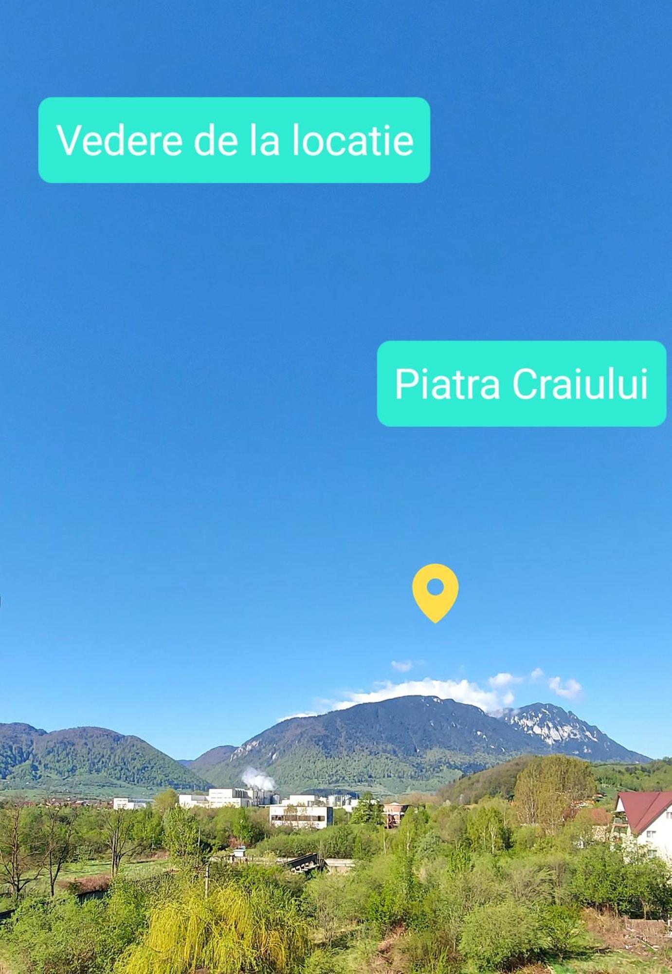 Panoramic Residence Zărneşti 外观 照片